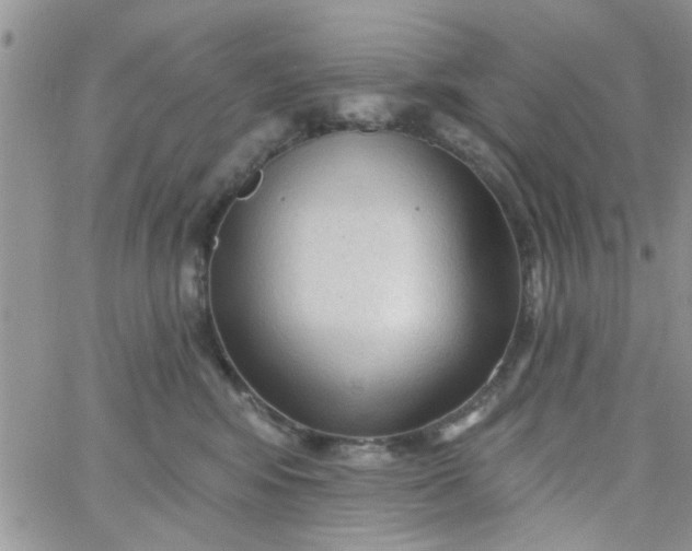 X0000065970424200603172055