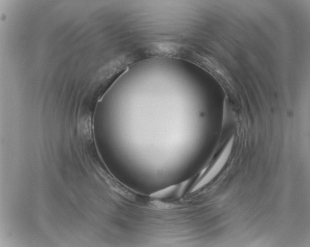 X0000065970425200603172055