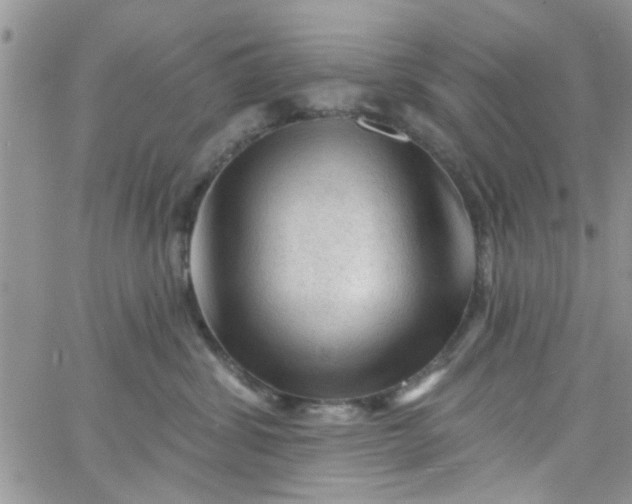 X0000065970428200603172055