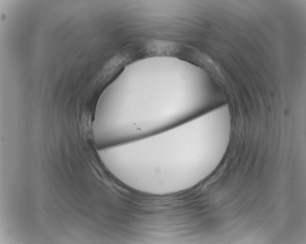 X0000065970429200603172055