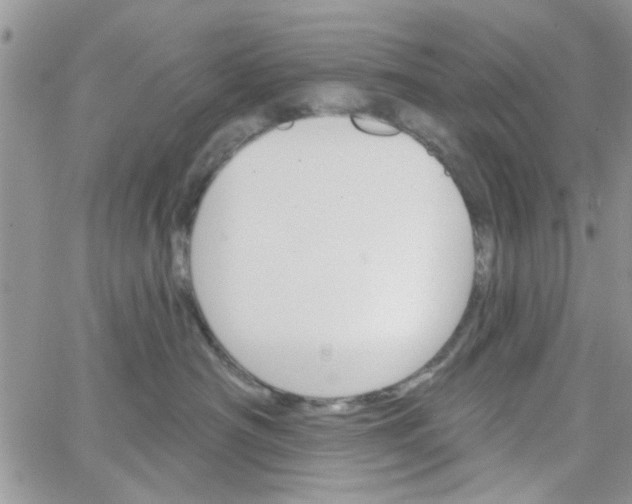 X0000065970430200603172055