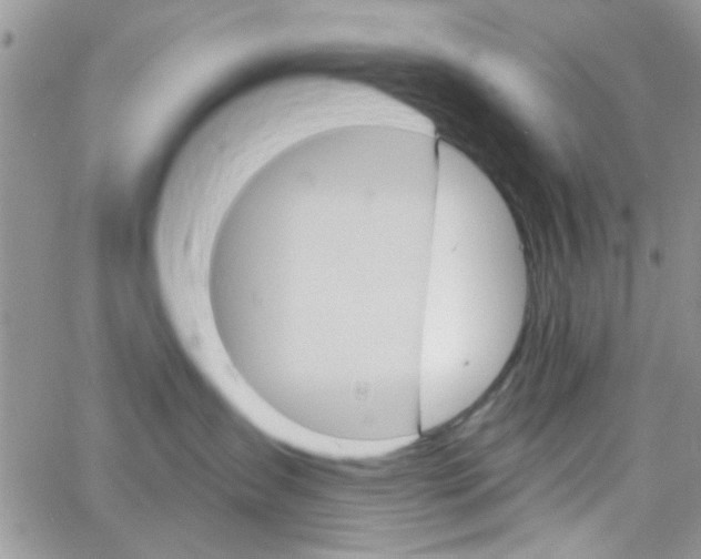 X0000065970431200603172055