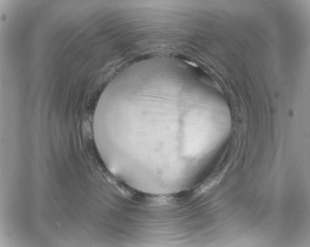 X0000065970432200603172055