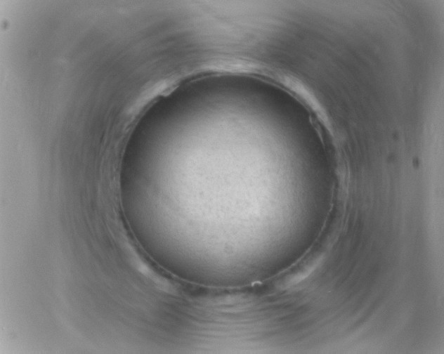 X0000065970433200603172054