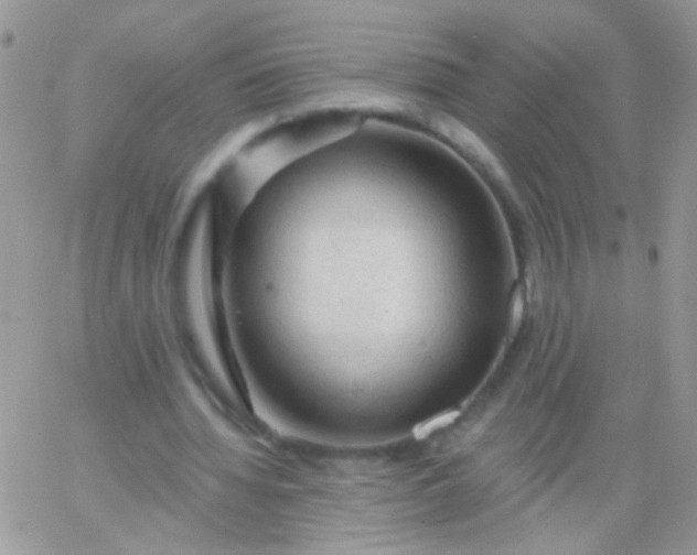 X0000065970436200603172054