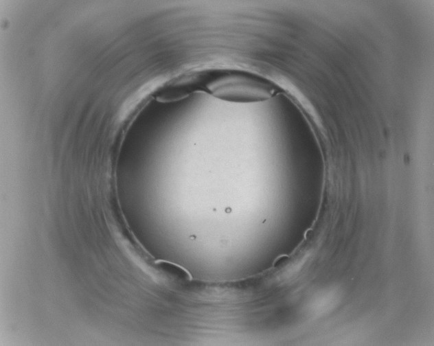 X0000065970437200603172054