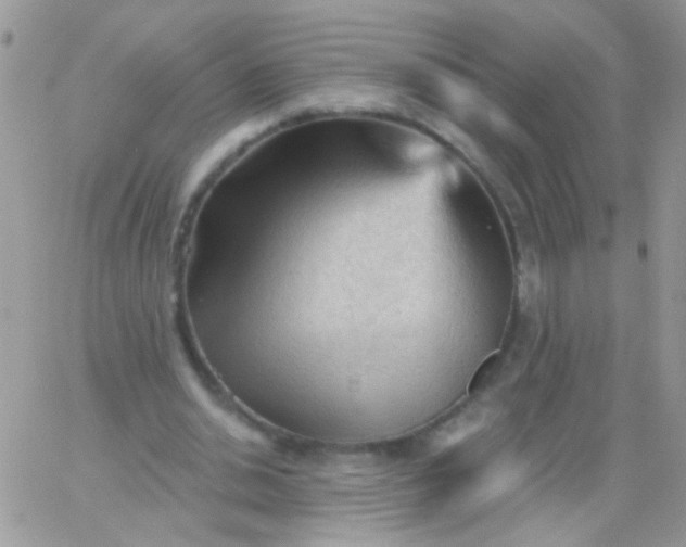 X0000065970438200603172054