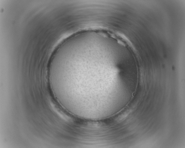 X0000065970439200603172054