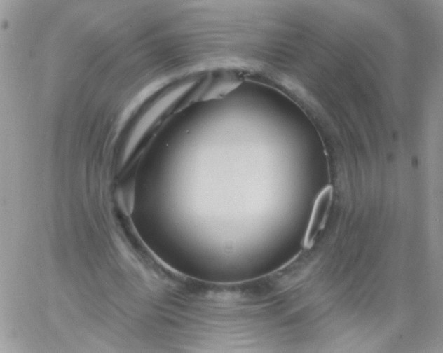 X0000065970440200603172054