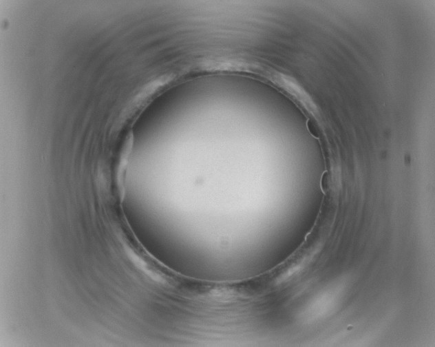 X0000065970441200603172054