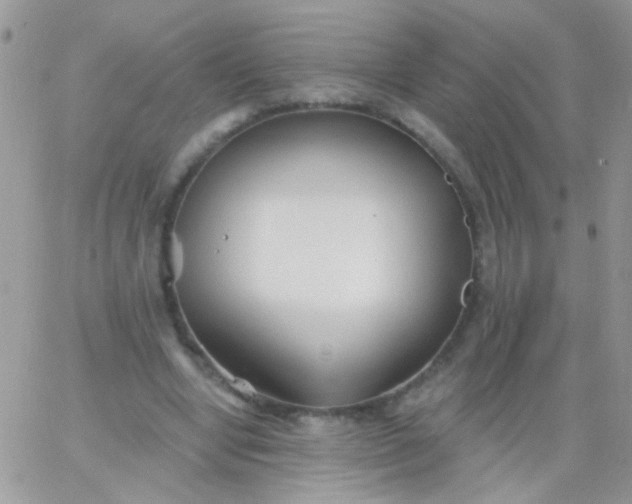 X0000065970442200603172054