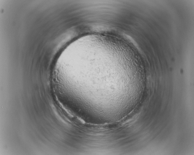 X0000065970443200603172054