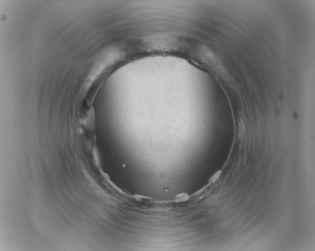 X0000065970444200603172054