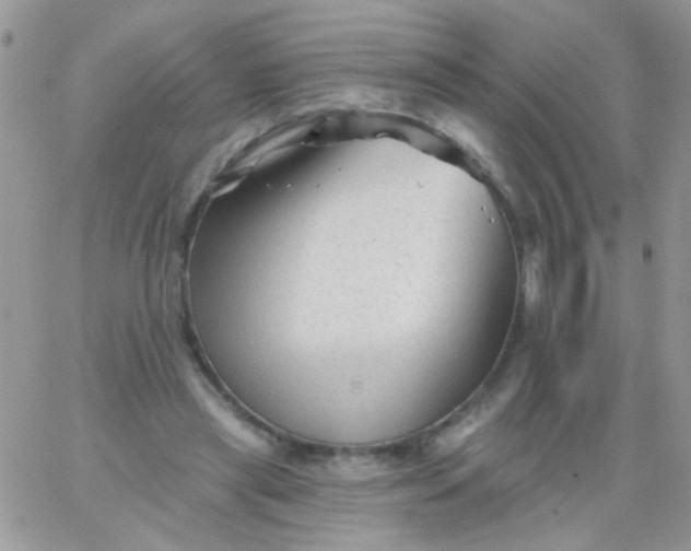 X0000065970445200603172054