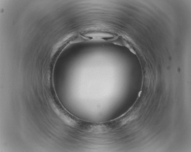 X0000065970446200603172054