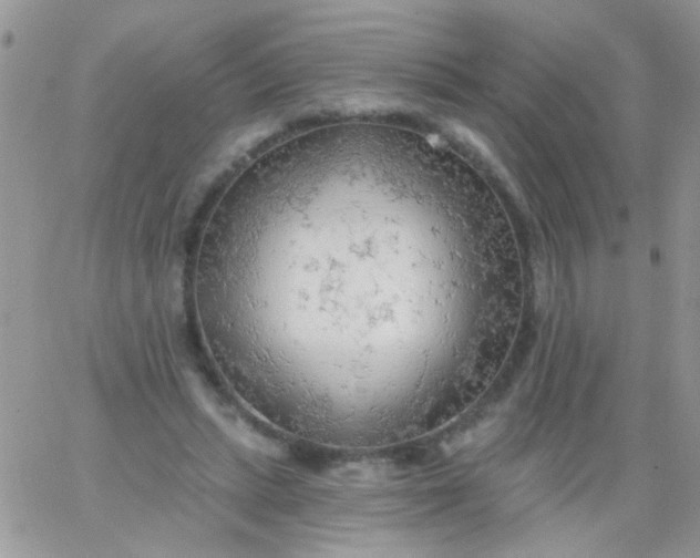 X0000065970447200603172054