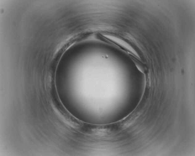 X0000065970448200603172054