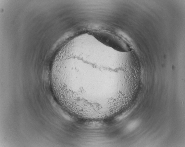 X0000065970449200603172054