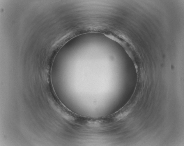 X0000065970450200603172054