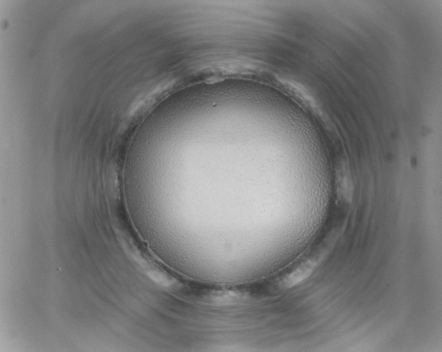 X0000065970453200603172054