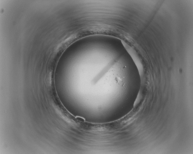 X0000065970454200603172054