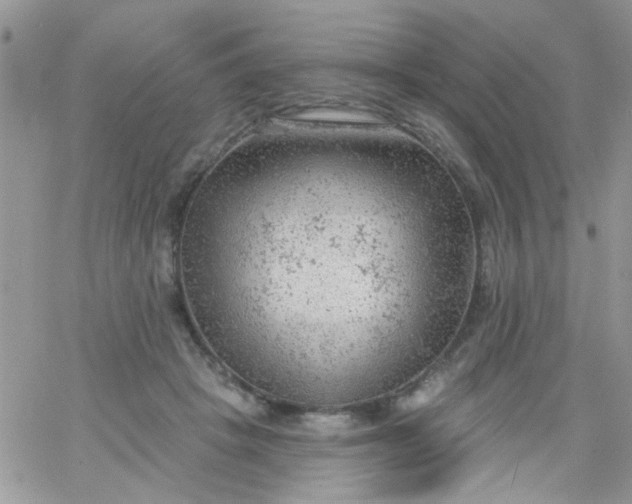 X0000065970457200603172054