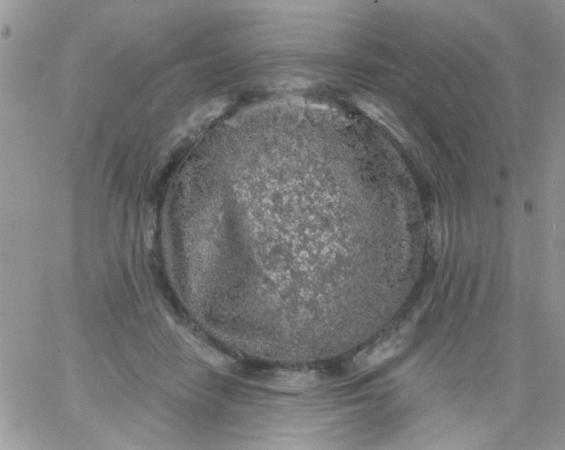 X0000065970458200603172054