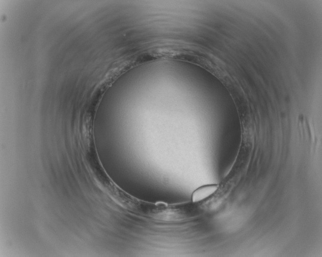 X0000065970460200603172054