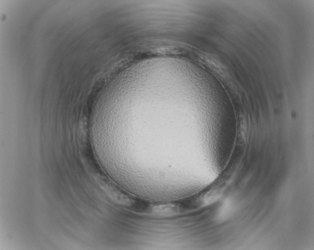 X0000065970461200603172054