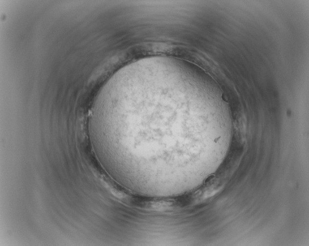 X0000065970462200603172054