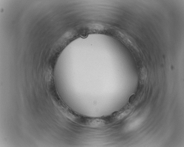 X0000065970463200603172054