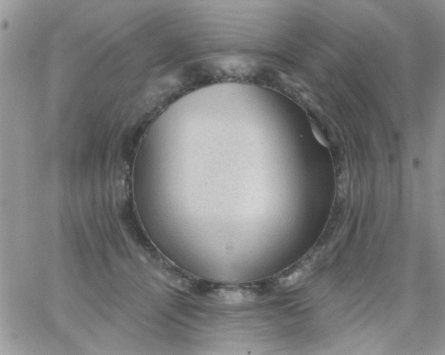 X0000065970464200603172054