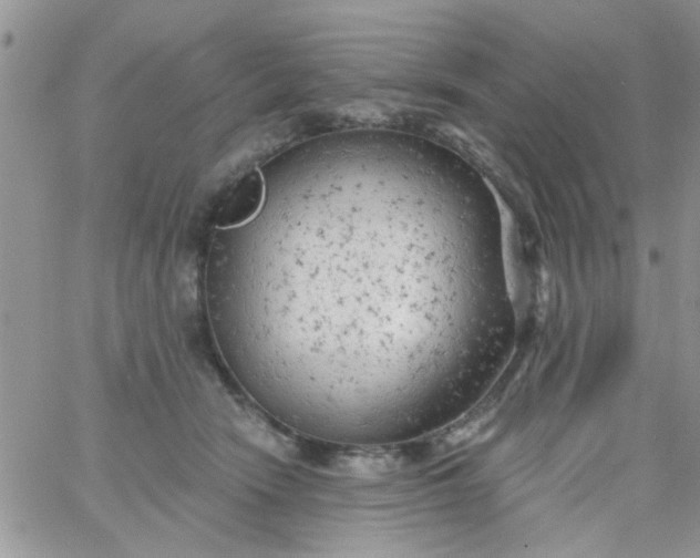 X0000065970466200603172054