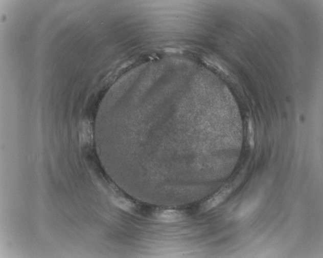 X0000065970467200603172054