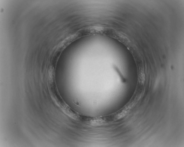 X0000065970468200603172054