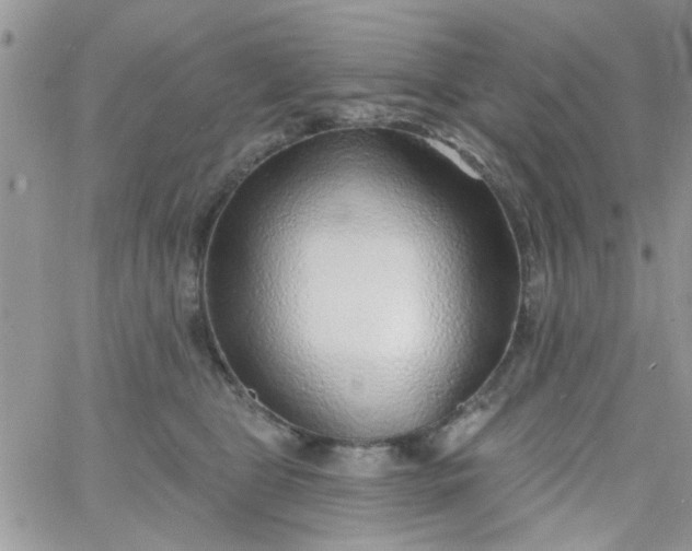 X0000065970469200603172054