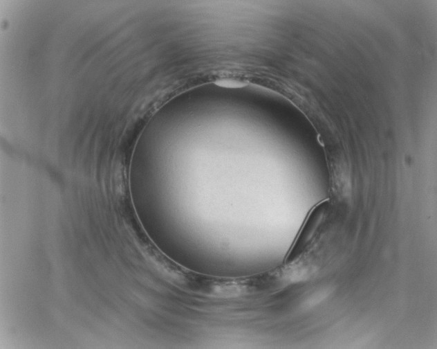 X0000065970470200603172054