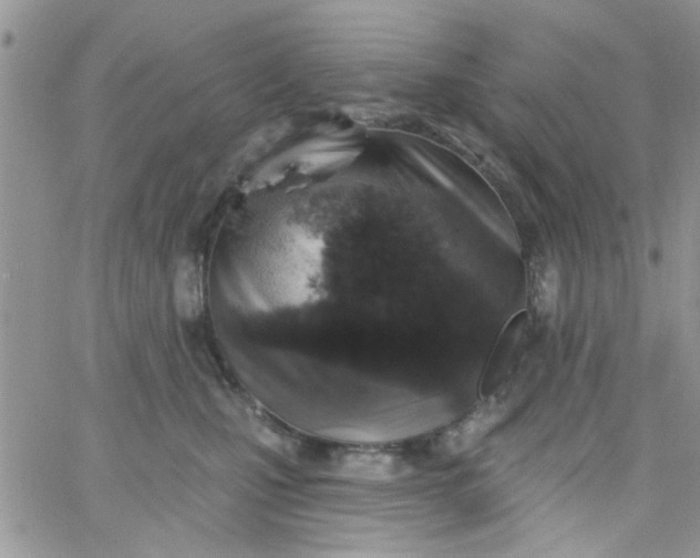 X0000065970471200603172054