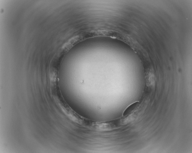 X0000065970472200603172054