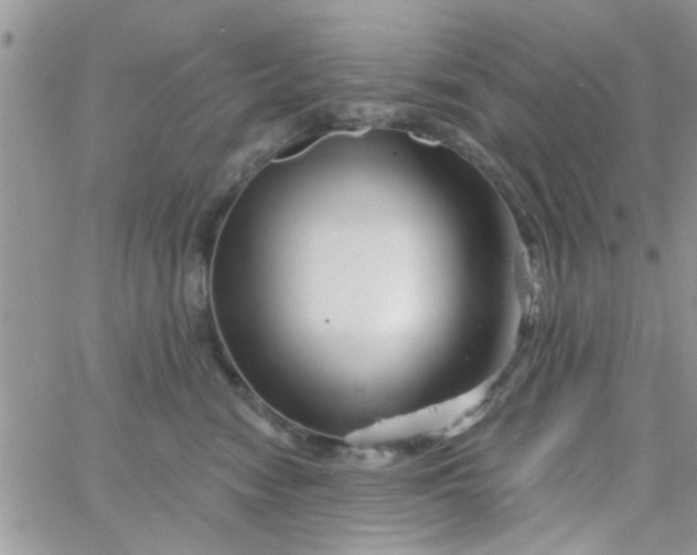 X0000065970474200603172054