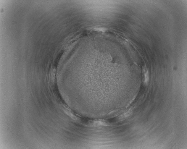 X0000065970475200603172054