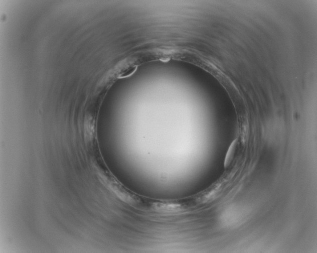 X0000065970476200603172054