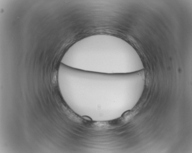 X0000065970477200603172054