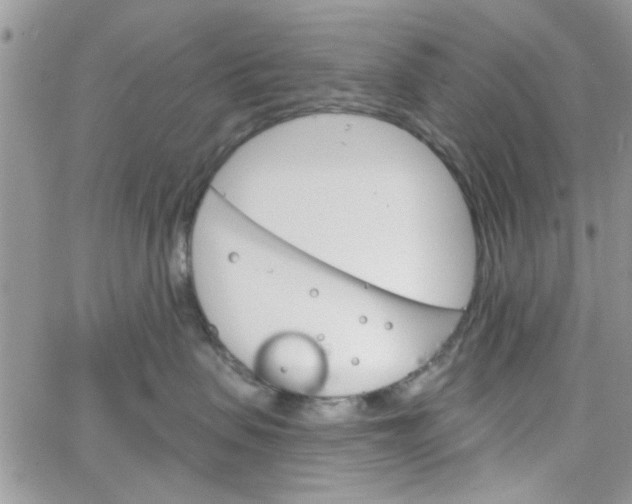 X0000065970479200603172055