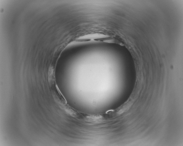 X0000065970480200603172055