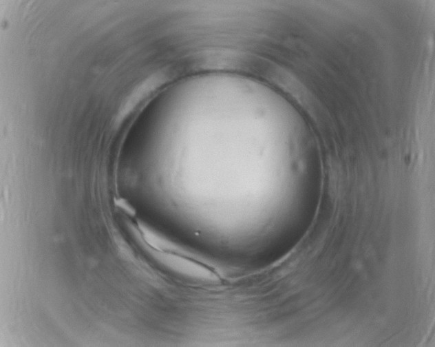 X0000065970482200603172054