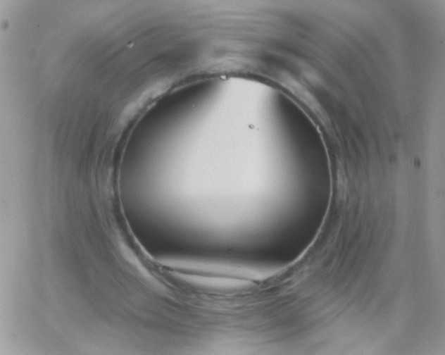 X0000065970485200603172054