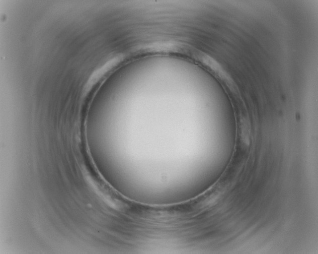 X0000065970486200603172054