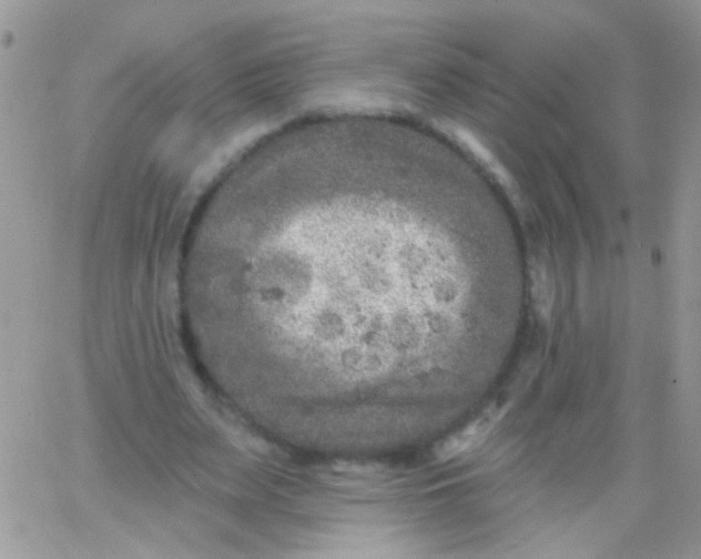 X0000065970487200603172054