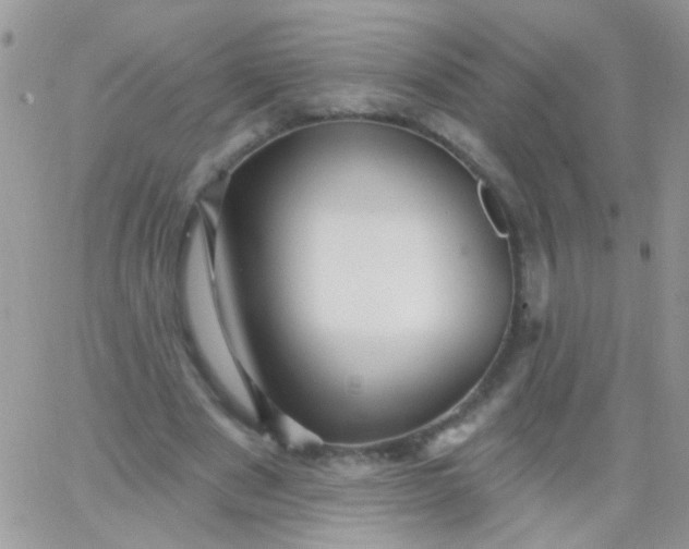 X0000065970489200603172054